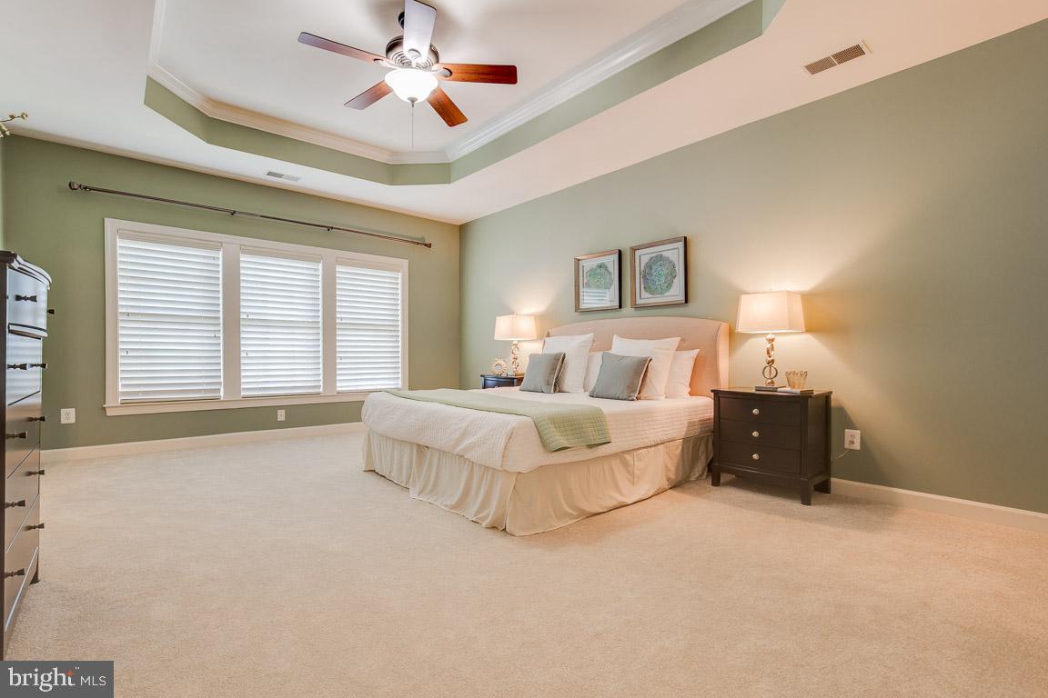 41777 Purpose Way Aldie, VA 20105 - Photo 25 of 44 Master Bedroom with Tray Ceiling & Fan
