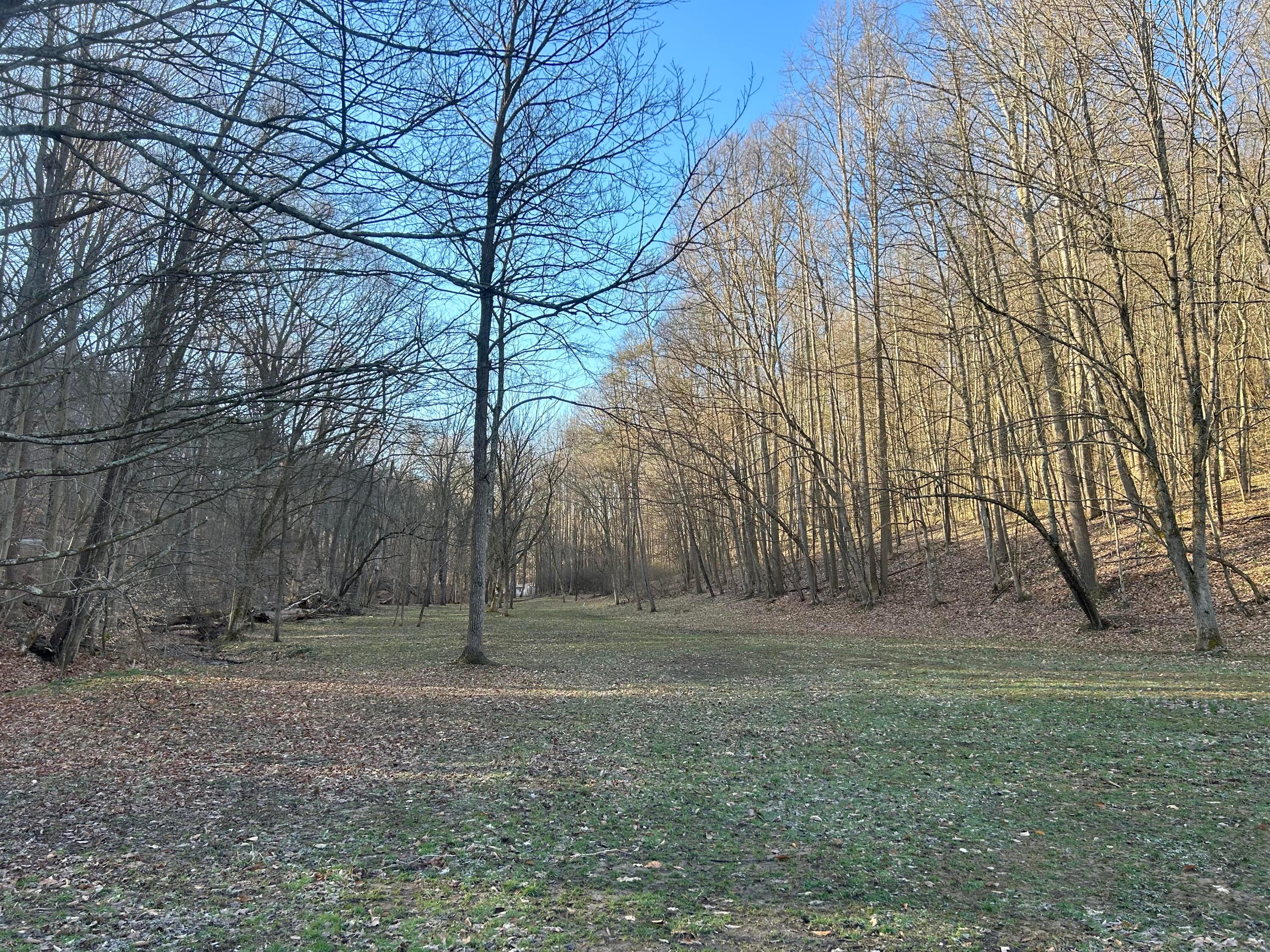 0 Hansley Road Southeast Sugar Grove, OH 43155 - Photo 22 of 27 77F8C2B9-B165-4D32-B48E-B14753F2AF6B
