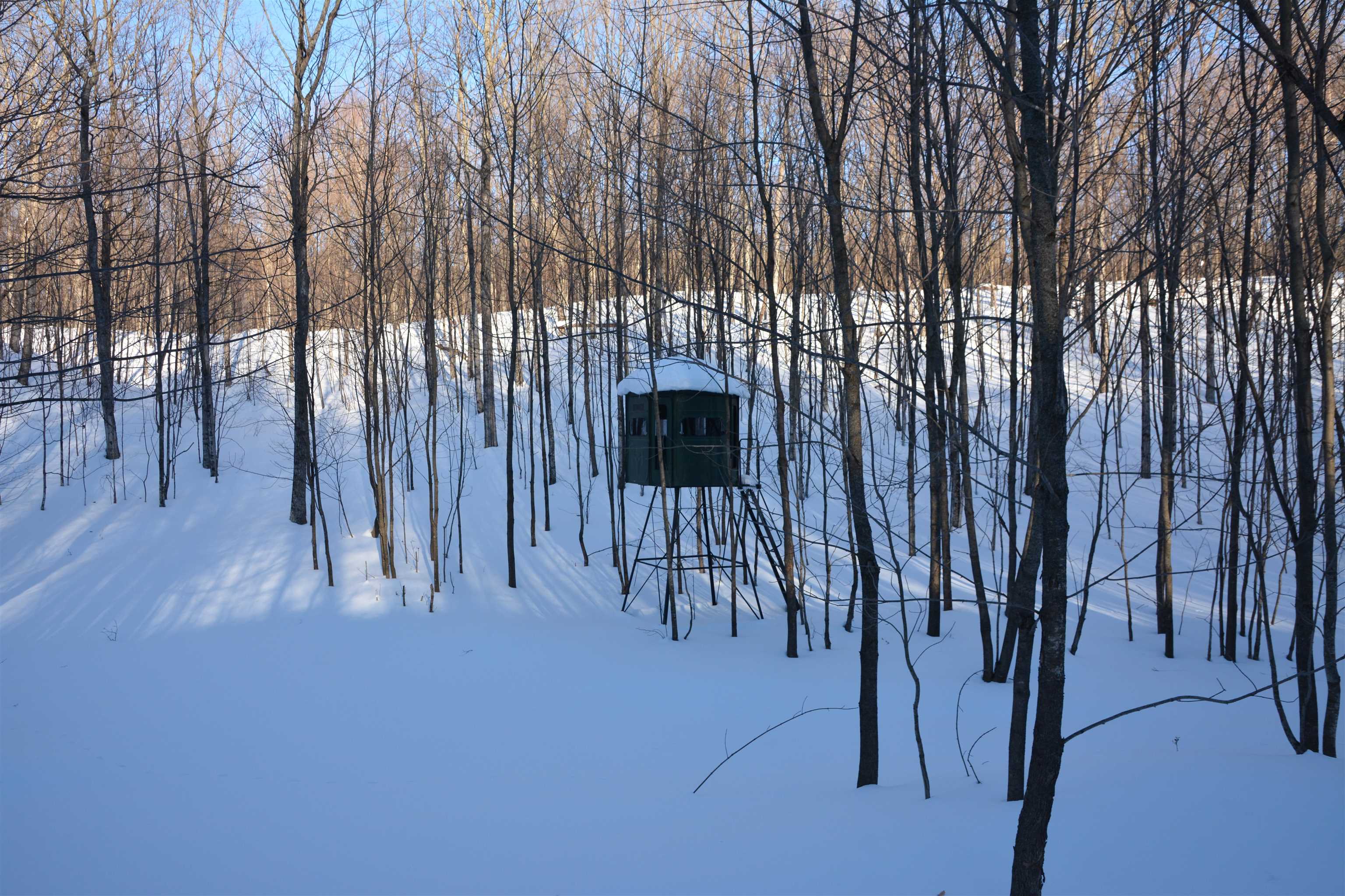 0 South Schomberg Road Cedar, MI 49621 - Photo 41 of 70