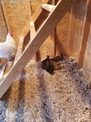 a close view of shoes stand and cabinets
