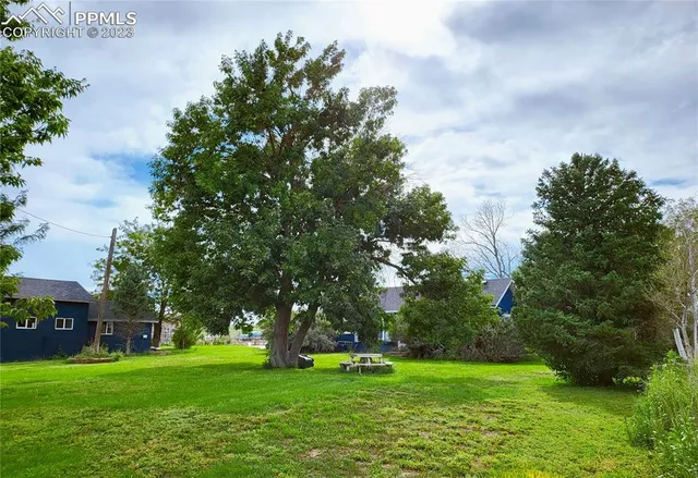 a big yard with large trees