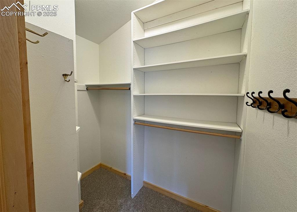 61 Muskrat Lake View Divide, CO 80814 - Photo 20 of 50 a close view of closet