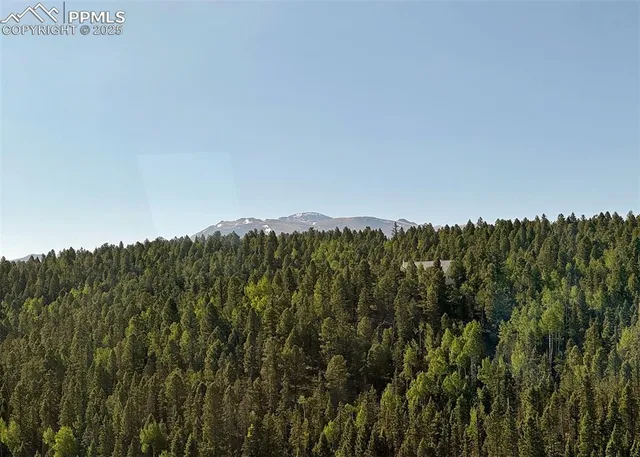 a view of a lush green space with sea