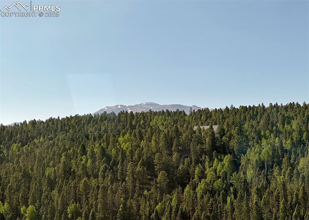 61 Muskrat Lake View Divide, CO 80814 - Photo 23 of 50 a view of a lush green space with sea