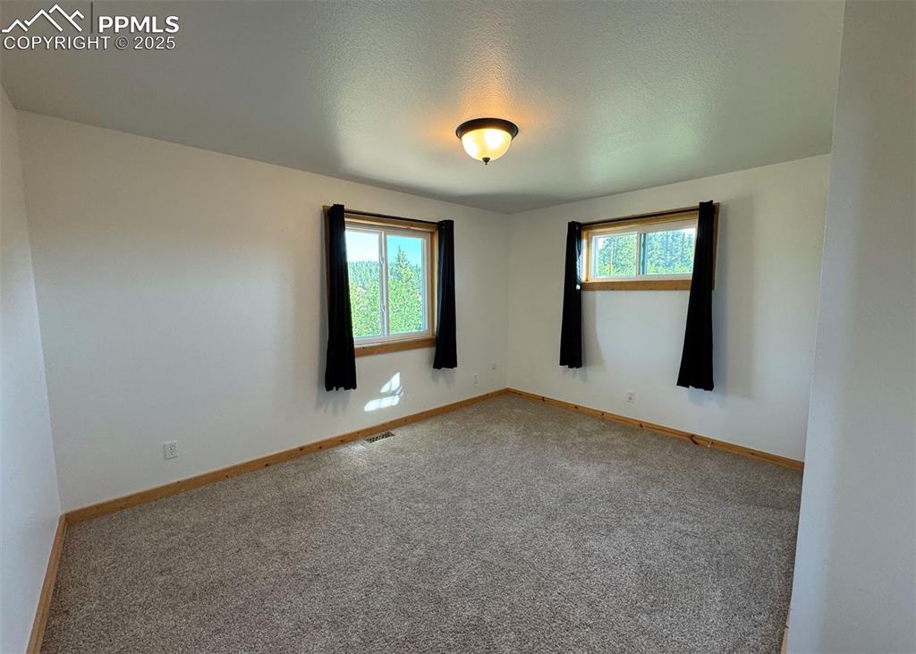 61 Muskrat Lake View Divide, CO 80814 - Photo 24 of 50 an empty room with windows