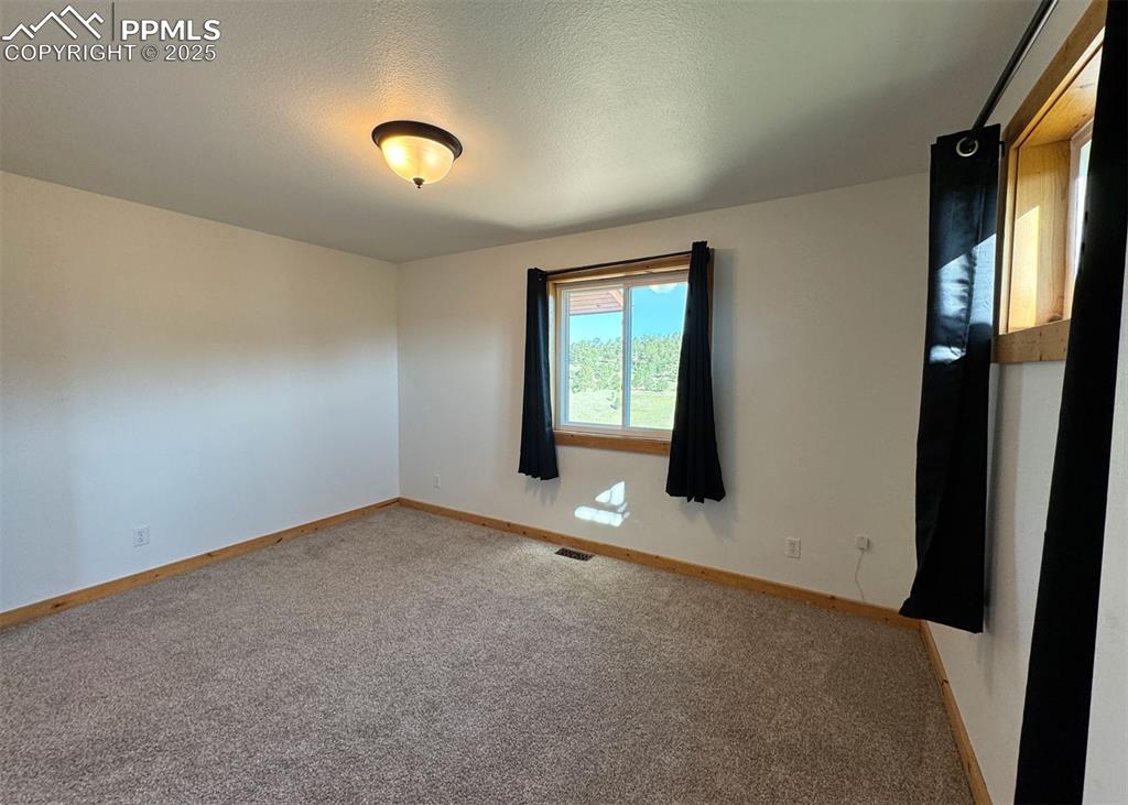61 Muskrat Lake View Divide, CO 80814 - Photo 26 of 50 an empty room with windows