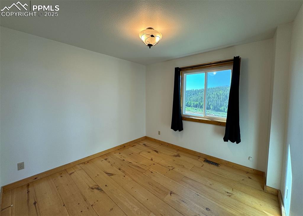 61 Muskrat Lake View Divide, CO 80814 - Photo 29 of 50 an empty room with wooden floor and windows