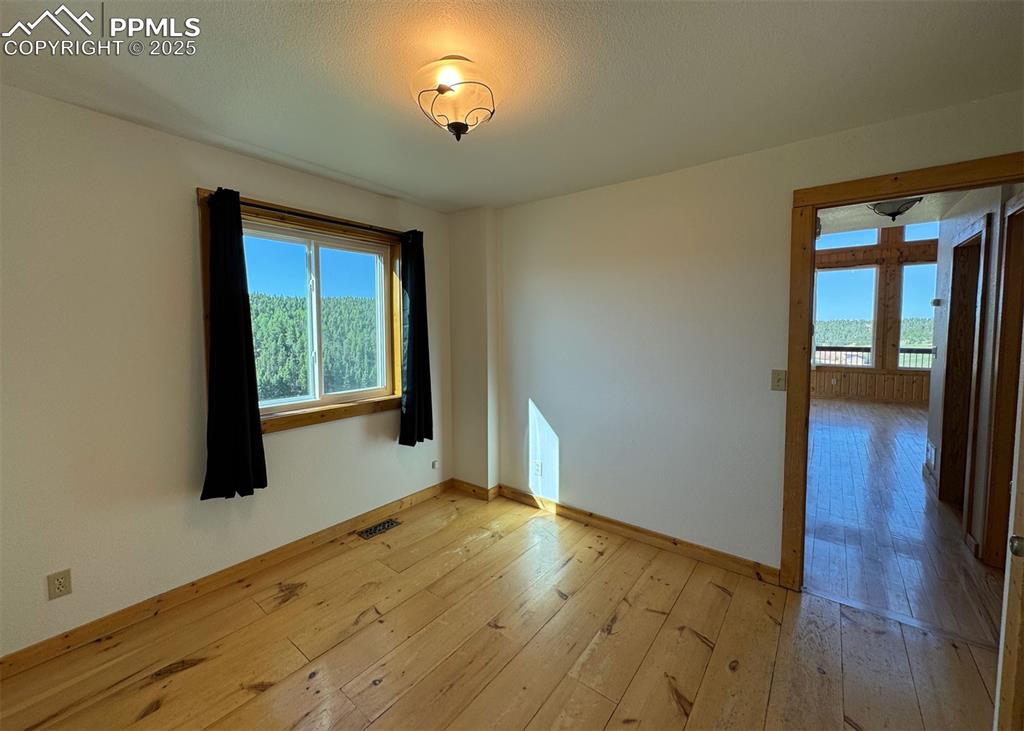 61 Muskrat Lake View Divide, CO 80814 - Photo 30 of 50 an empty room with wooden floor and windows