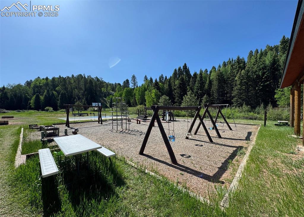 61 Muskrat Lake View Divide, CO 80814 - Photo 42 of 50 a view of a park