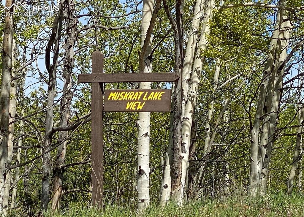 61 Muskrat Lake View Divide, CO 80814 - Photo 46 of 50 a sign on the side of a road