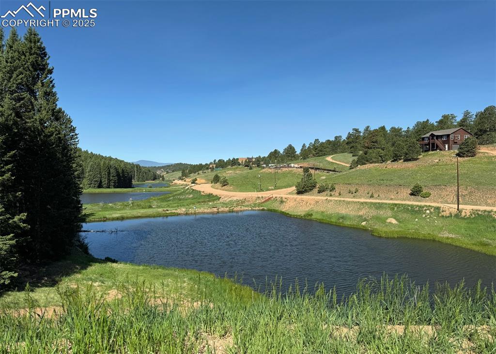 61 Muskrat Lake View Divide, CO 80814 - Photo 47 of 50 a view of a lake with a big yard