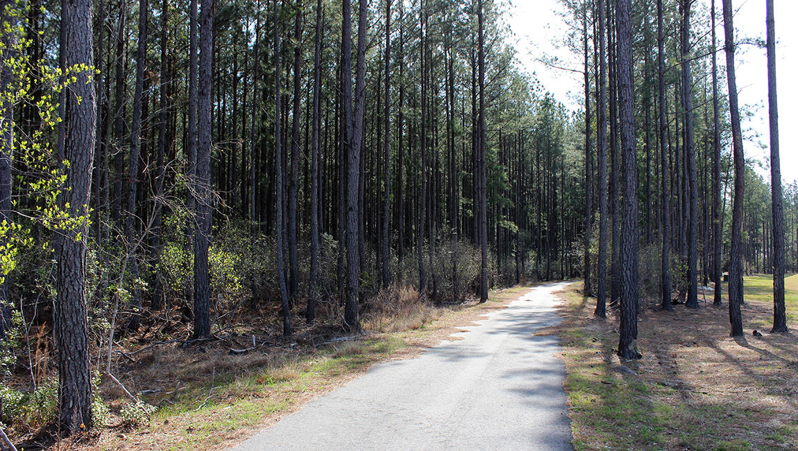 205 Rhodes Court Summerville, SC 29486 - Photo 43 of 48 Lakes of Cane Bay Walking Trails