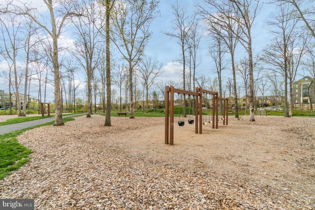 44721 Ellsworth Terrace Ashburn, VA 20147 - Photo 51 of 51 a view of park with trees