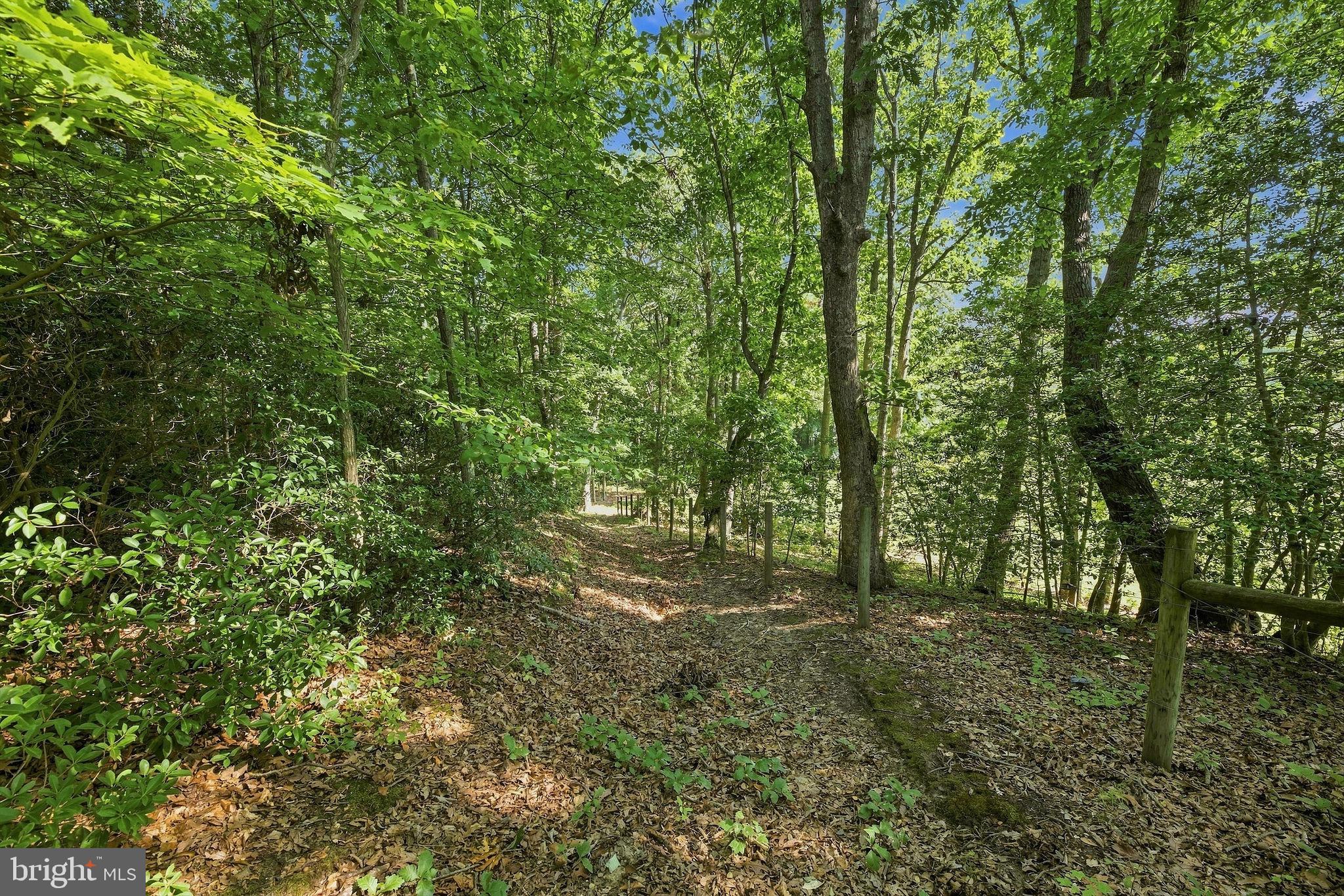 2020 Wash Hance Road Prince Frederick, MD 20678 - Photo 48 of 96 Gallery Image 48