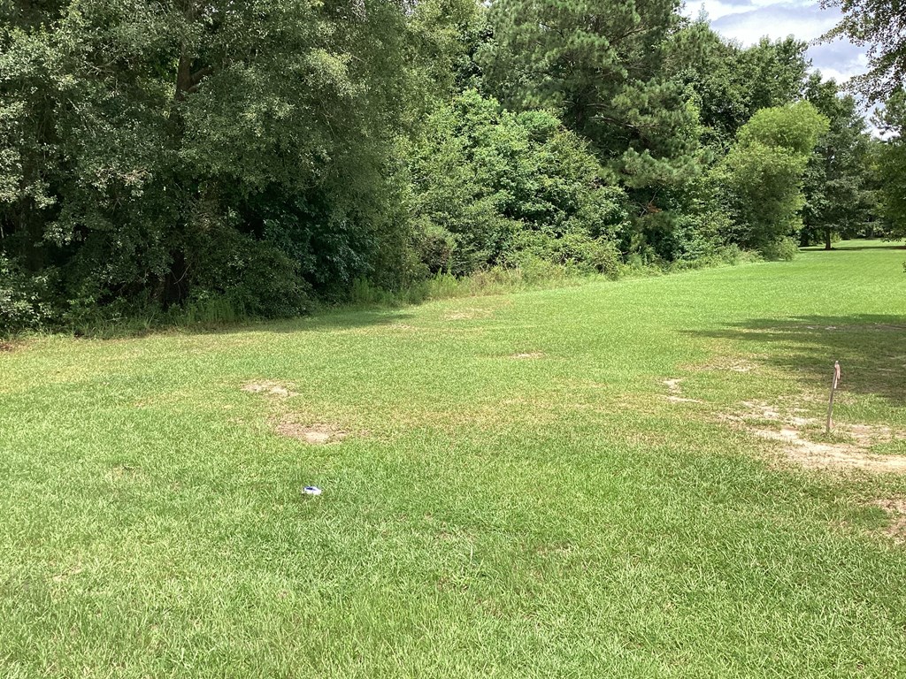 204691 Suggs Road Headland, AL 36345 - Photo 2 of 14
