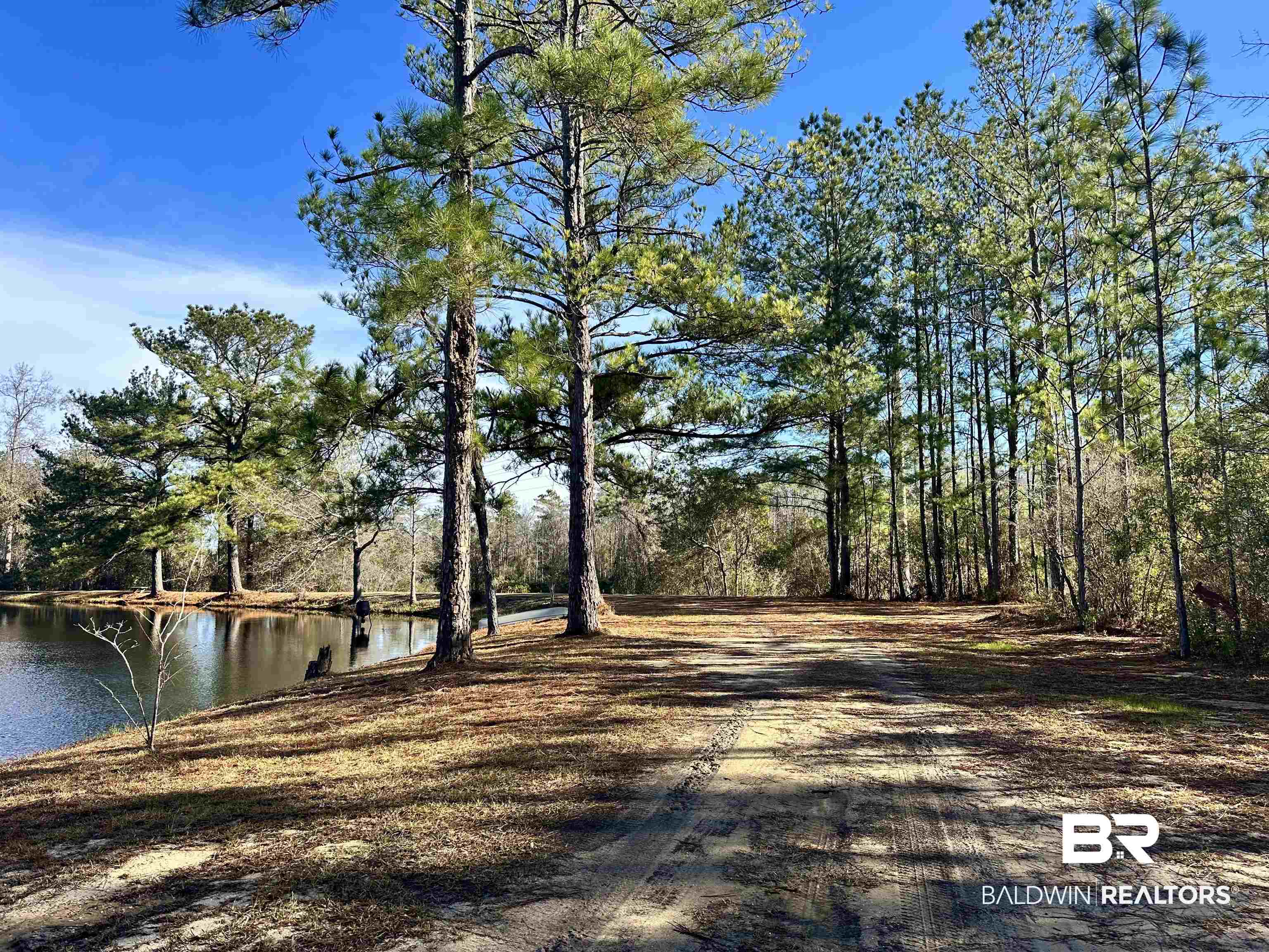 3881 Old Atmore Road Flomaton, AL 36441 - Photo 16 of 22 View of road featuring a water view