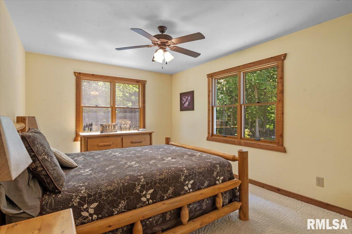 3880 Moose Cry Road Auburn, IL 62615 - Photo 32 of 74