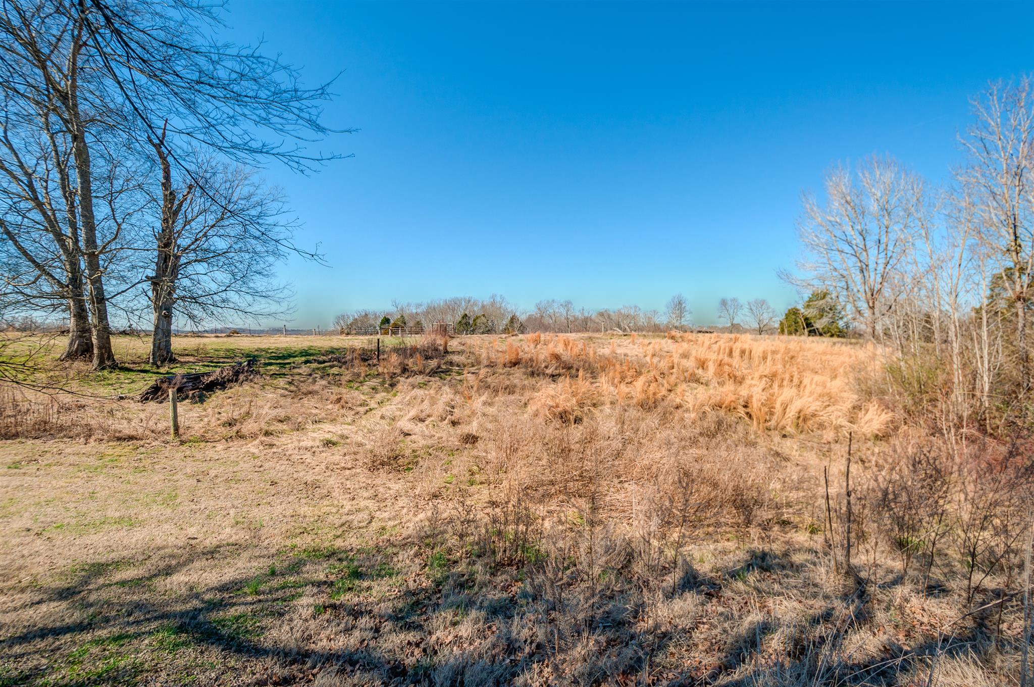 3194 Town Road Only, TN 37140 - Photo 23 of 29 Gallery Image 23