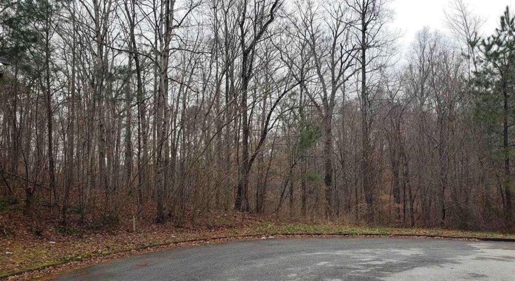 0 River Bend Court Villa Rica, GA 30180 - Photo 6 of 8