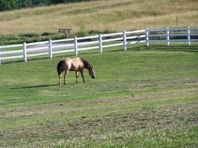 1382 Estill Hackney Road Eubank, KY 42567 - Photo 2 of 14 Additional Photo