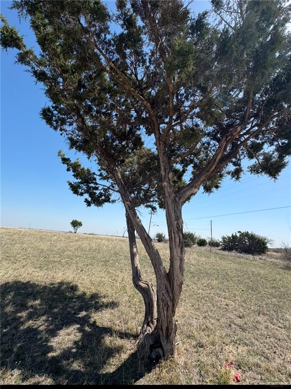 1950 County Road 221 Florence, TX 76527 - Photo 11 of 13 a view of a ocean