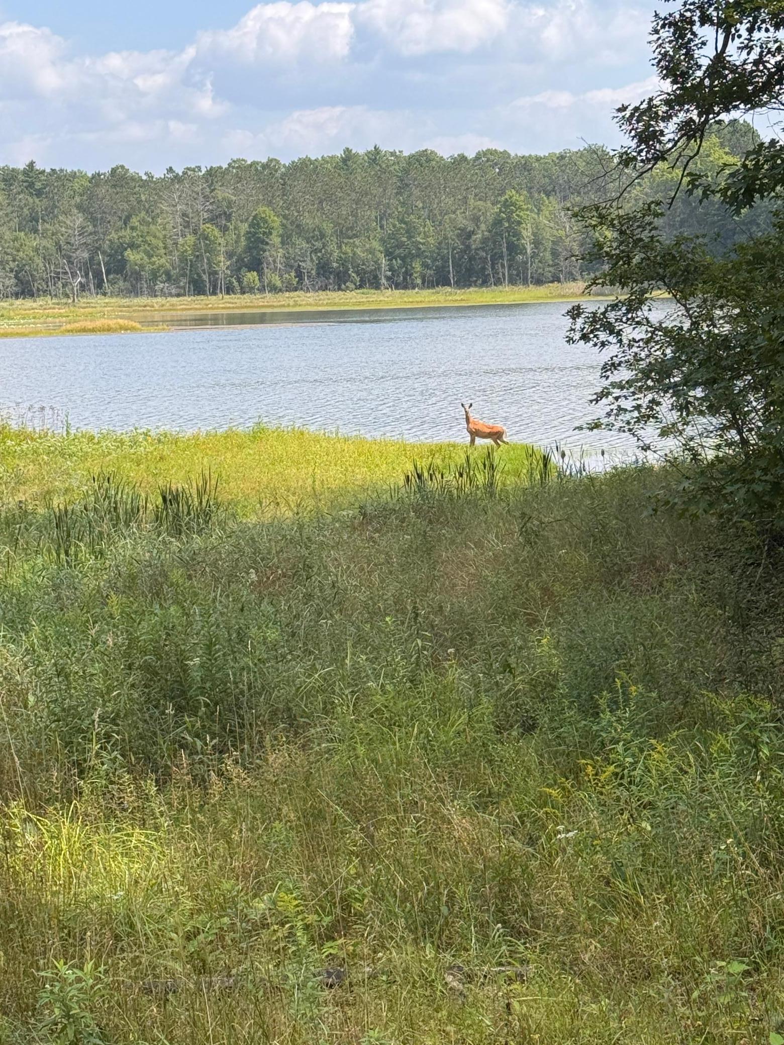 N9842 Gardner Lake Road Springbrook, WI 54875 - Photo 50 of 51