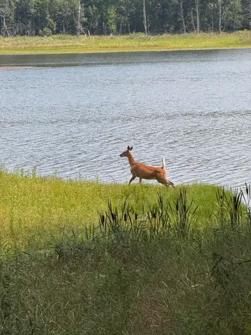 $320,000 | N9842 Gardner Lake Road, Springbrook, WI 54875