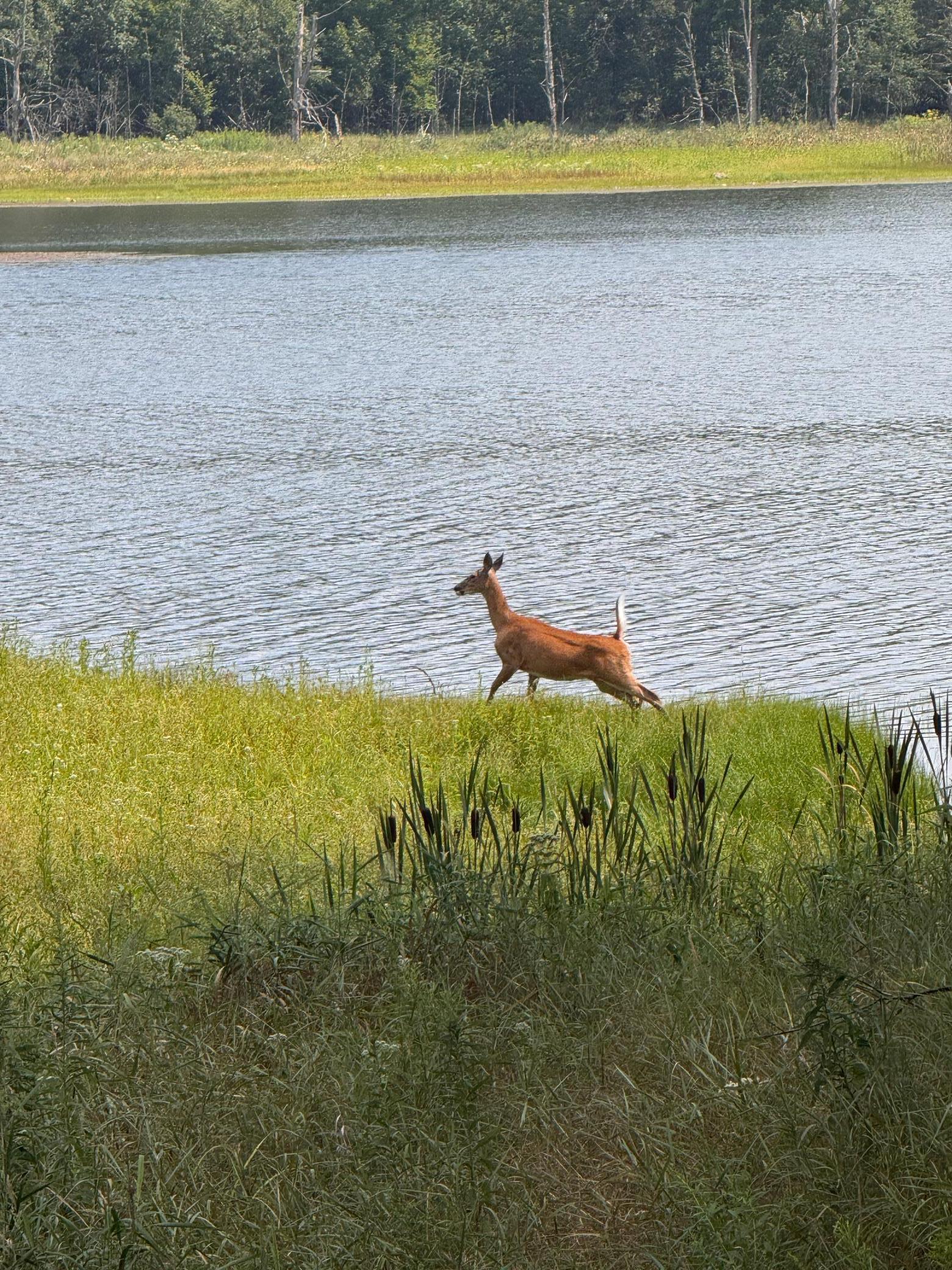 N9842 Gardner Lake Road Springbrook, WI 54875 - Photo 51 of 51