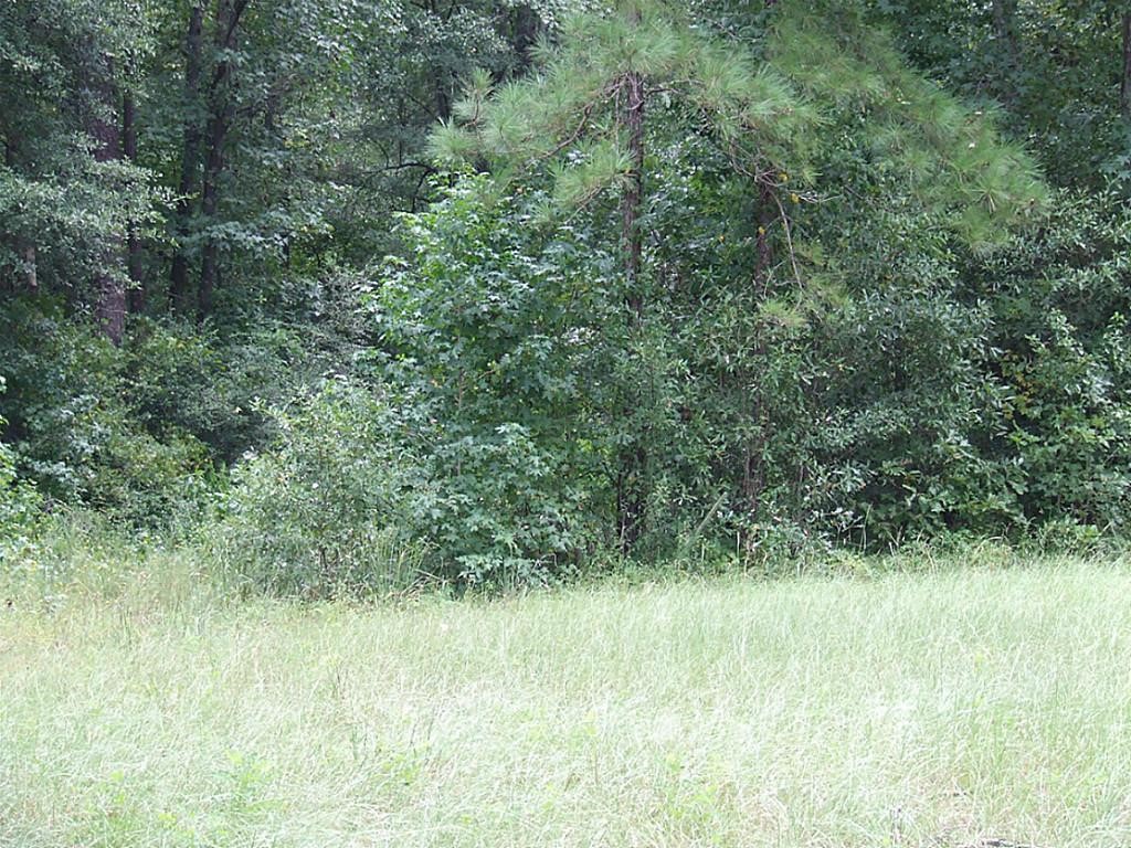 Tbd Dorrell Road Huntsville, TX 77340 - Photo 10 of 11 Gallery Image 10