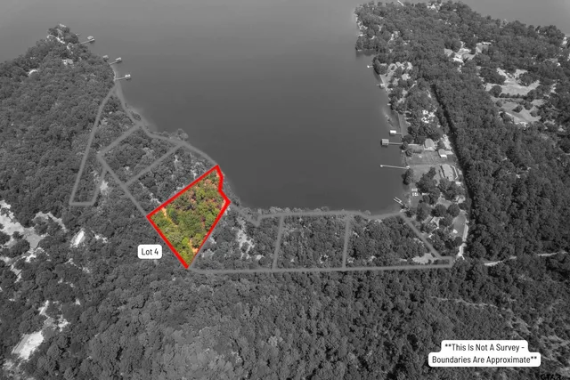 a view of a yard with large trees