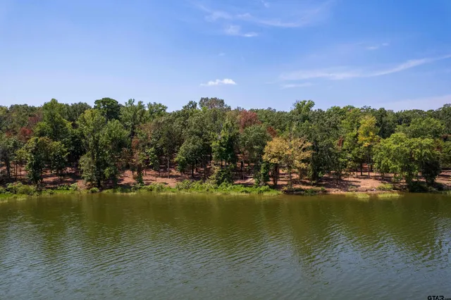 a view of a yard with trees