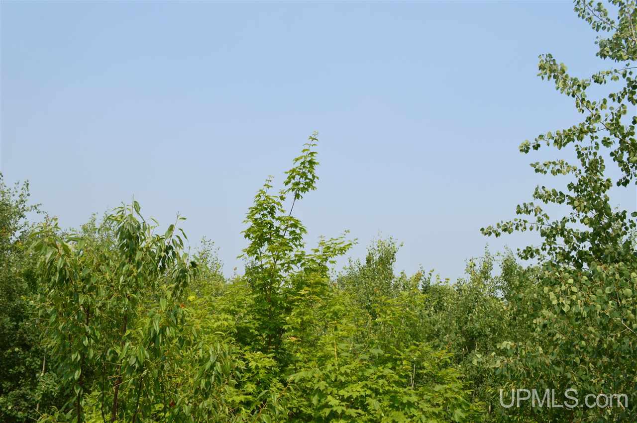 Tbd Herman Road Lanse, MI 49946 - Photo 23 of 50 Gallery Image 23