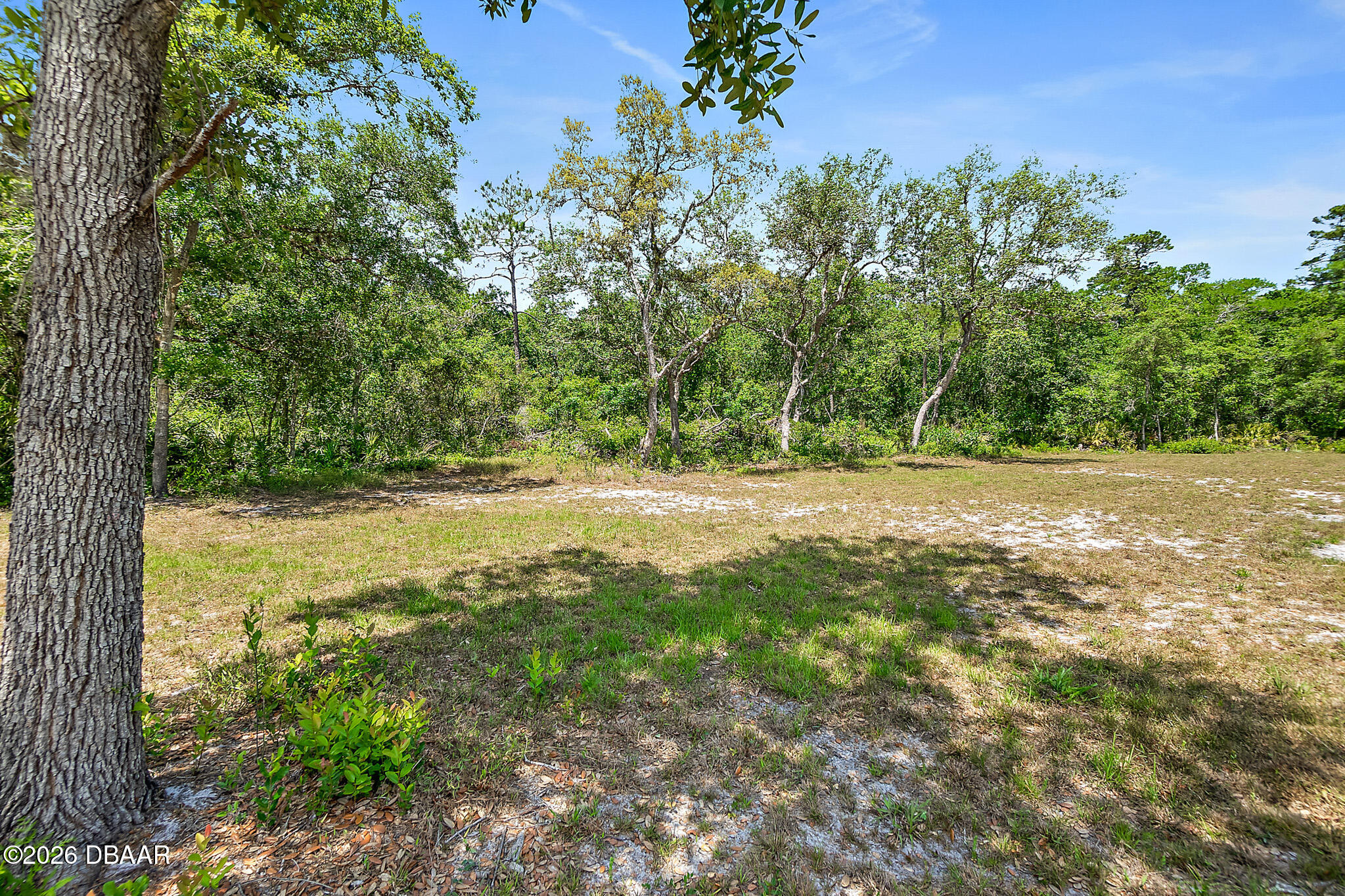 1370 Buckles Road Pierson, FL 32180 - Photo 46 of 59 1370_Buckles_Rd_Photos-85