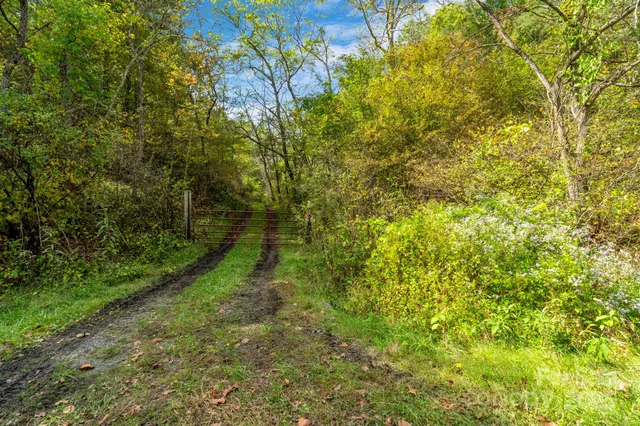 $2,199,999 | 3319 Bull Creek Road, Marshall, NC 28753