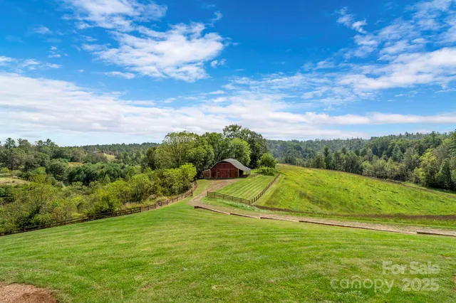 a view of a big yard with potted plants and large trees