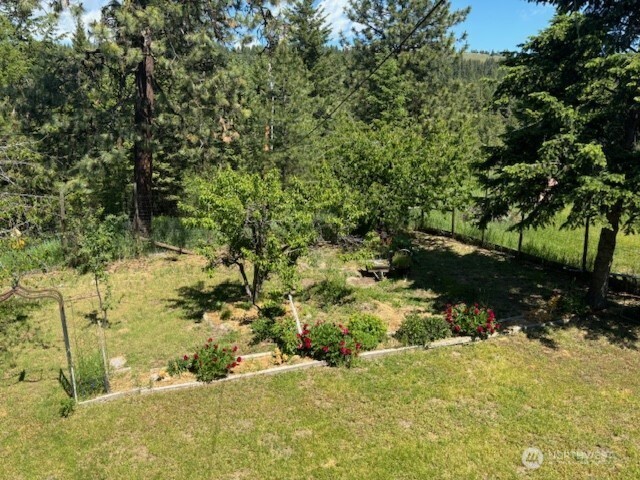 55 Gold Mountain Road Republic, WA 99166 - Photo 18 of 40 a view of a yard with a tree