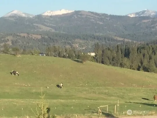 a view of beach and mountain