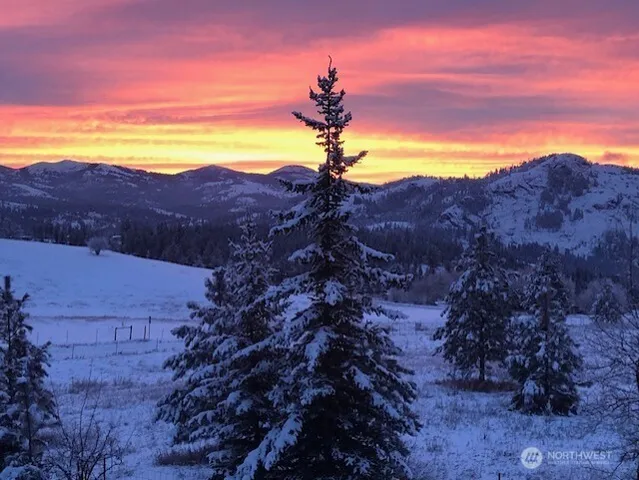 a view of a house with a mountain and a forest