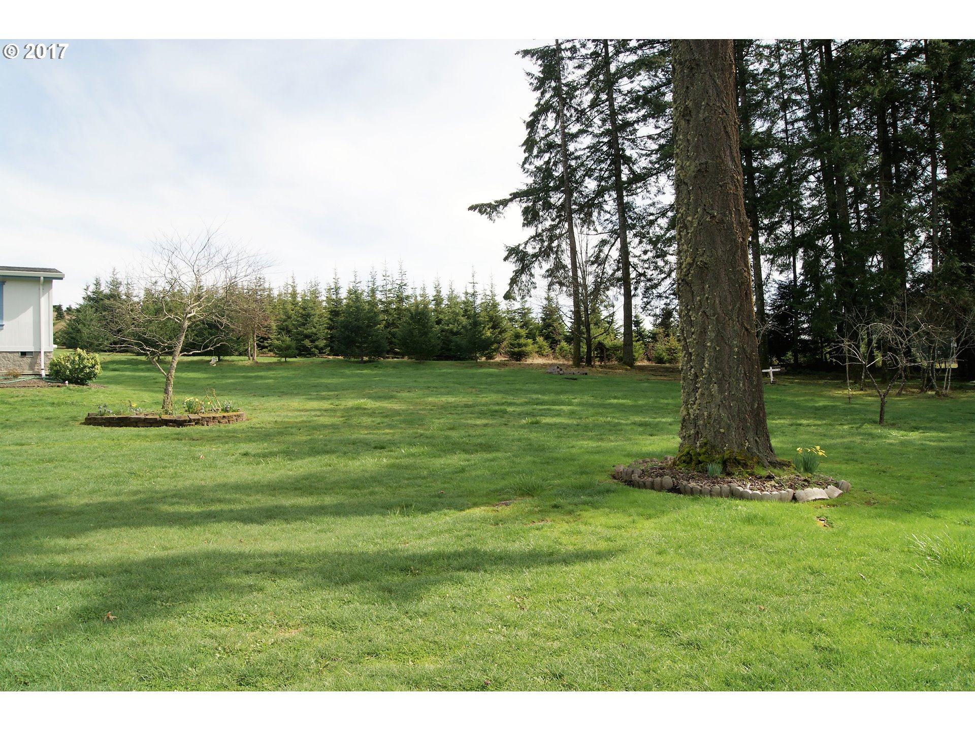 25501 Lawrence Road Junction City, OR 97448 - Photo 28 of 29 Front Yard
