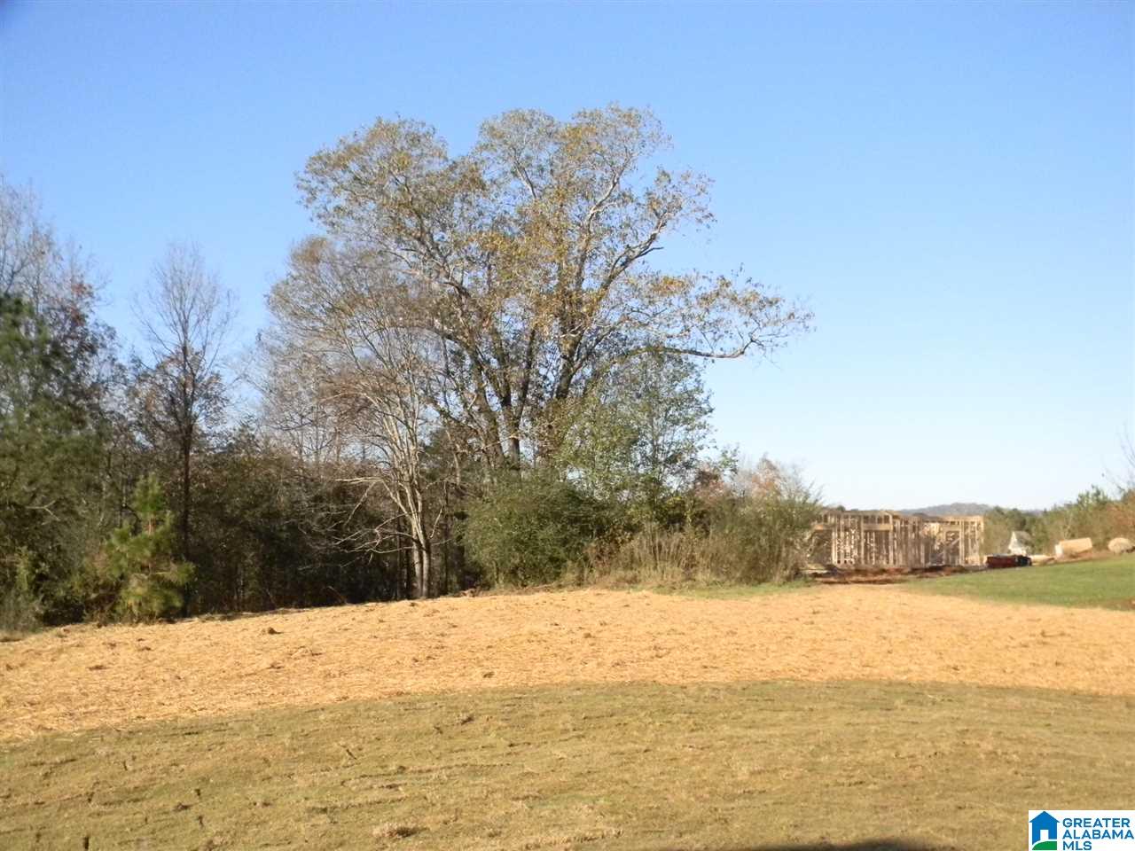 165 Smithfield Lane Springville, AL 35146 - Photo 19 of 30