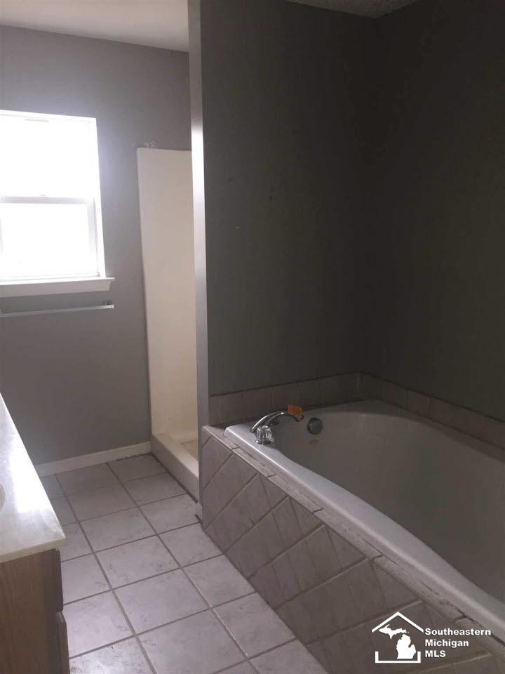 12656 Ostrander Road Maybee, MI 48159 - Photo 8 of 10 Master bath