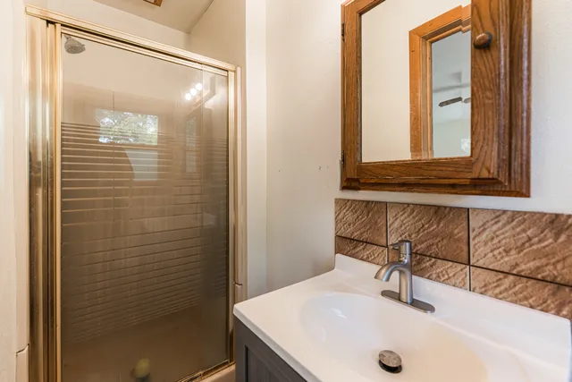 a bathroom with a sink and a large mirror