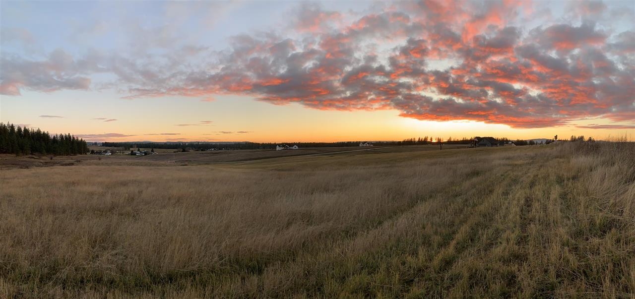 6303 East Foxtrot Lane Colbert, WA 99005 - Photo 41 of 42