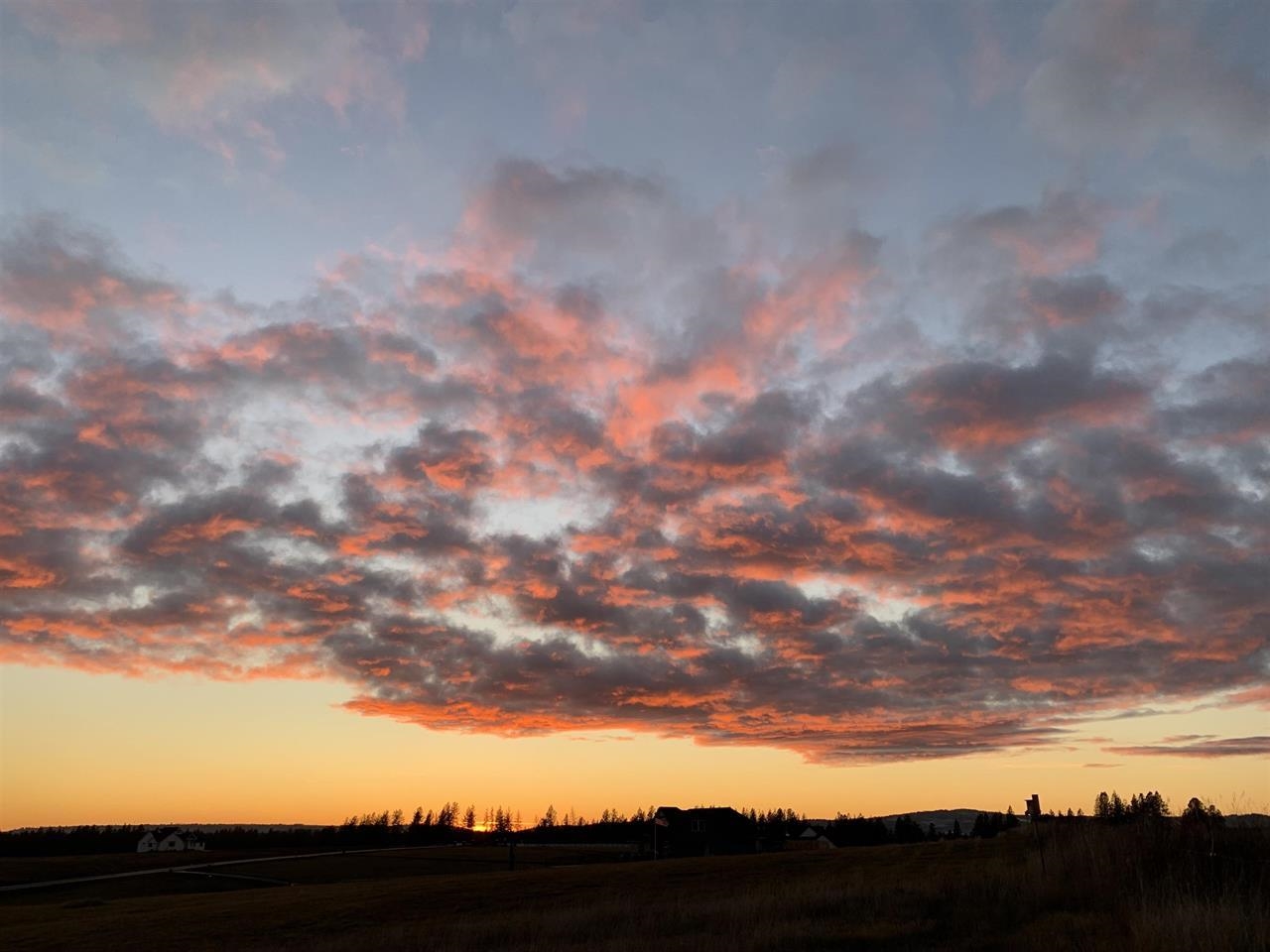 6303 East Foxtrot Lane Colbert, WA 99005 - Photo 42 of 42