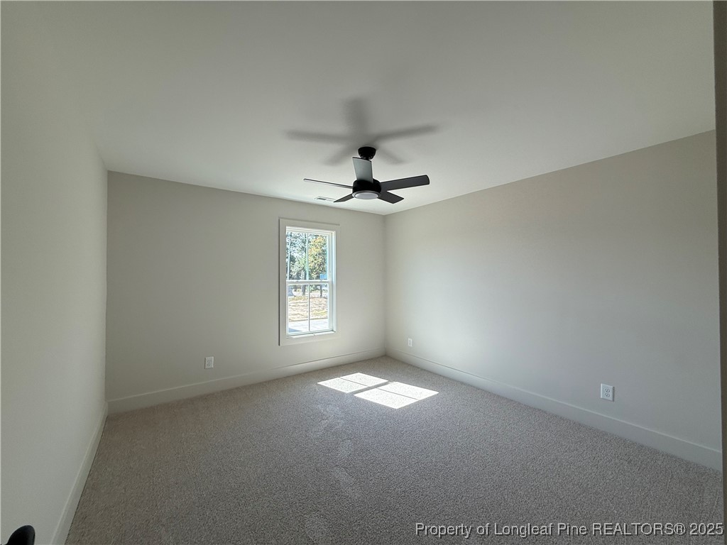 7136 Chicken Foot Road St. Pauls, NC 28384 - Photo 20 of 24