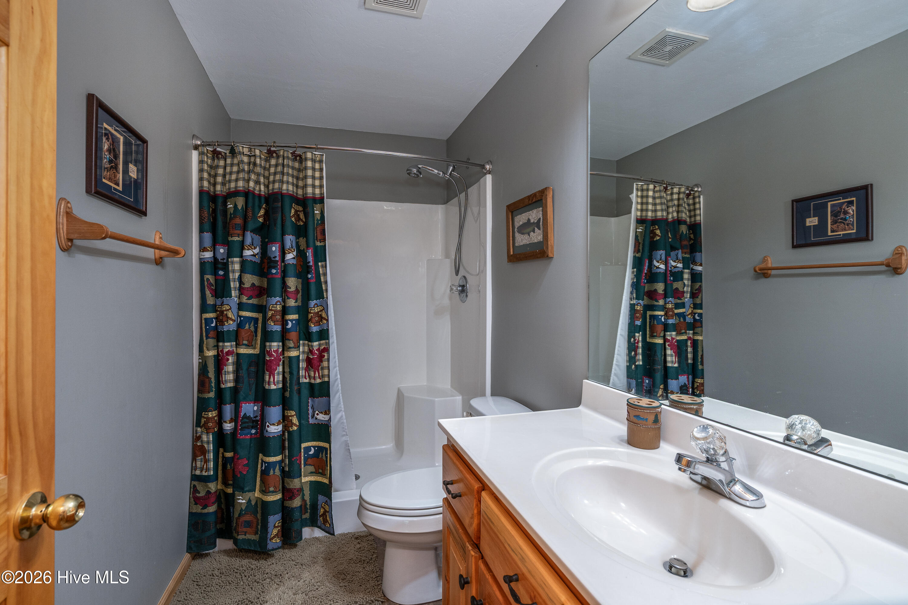 635 Brasstown View Road Brasstown, NC 28902 - Photo 31 of 58 Gallery Image 31