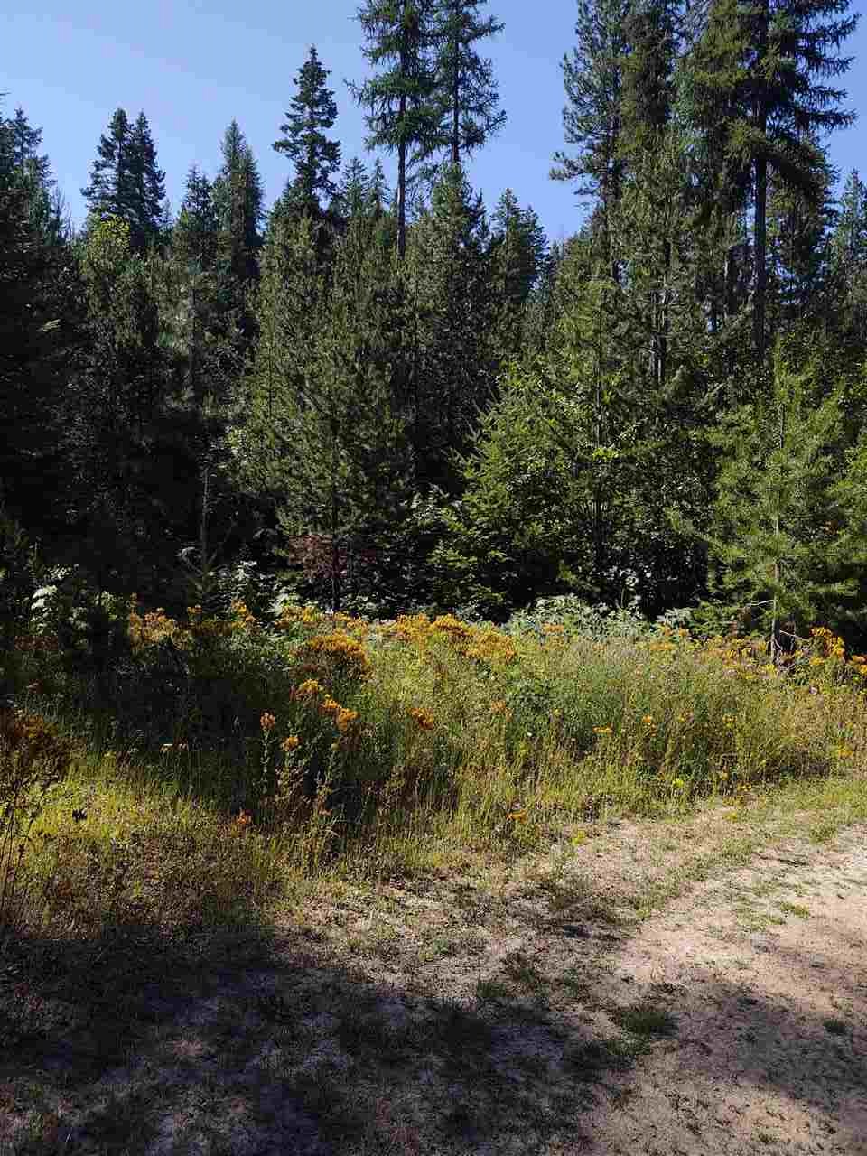 Xxx Xxx Tbd Road Springdale, WA 99173 - Photo 14 of 37
