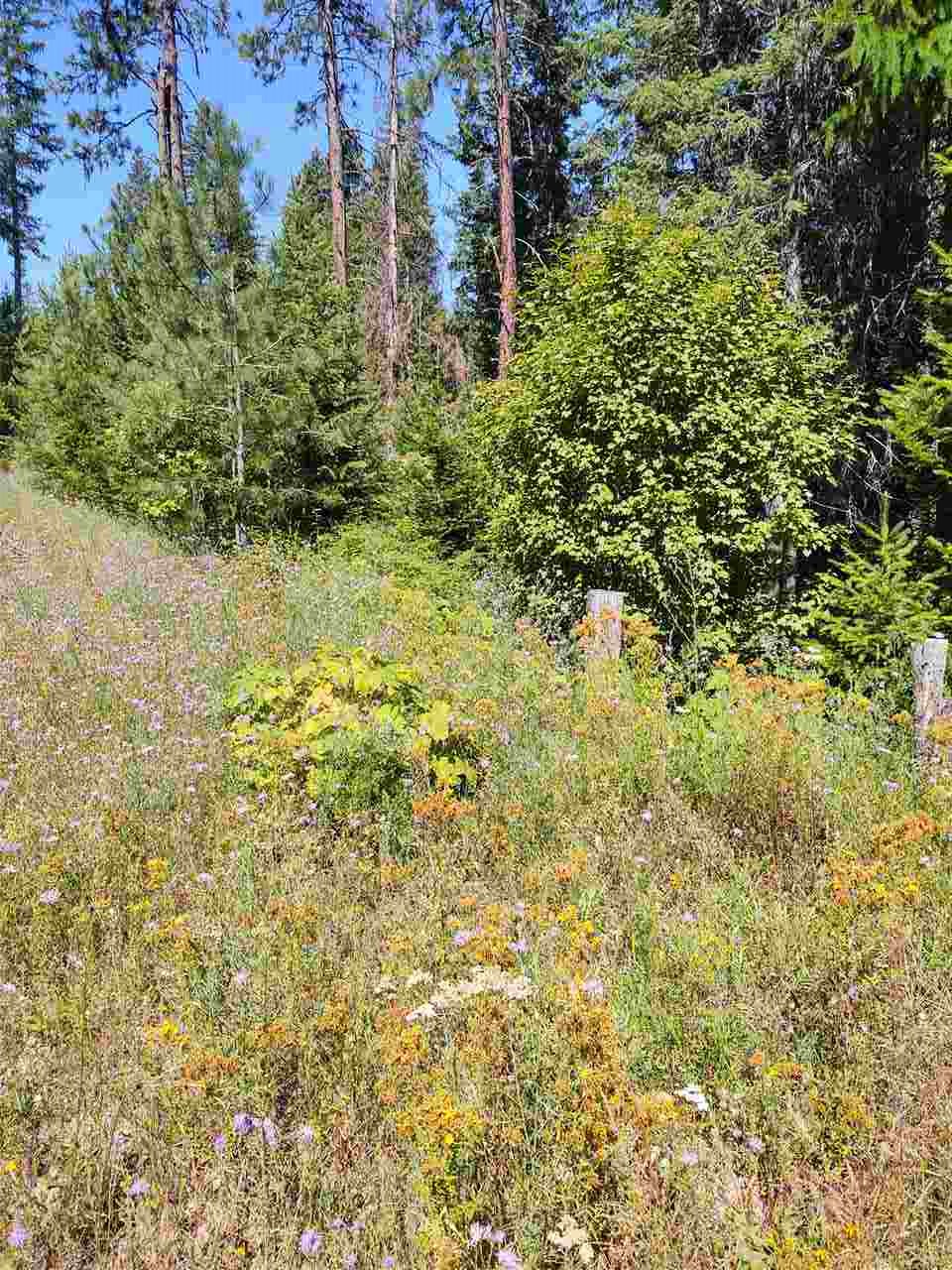 Xxx Xxx Tbd Road Springdale, WA 99173 - Photo 20 of 37