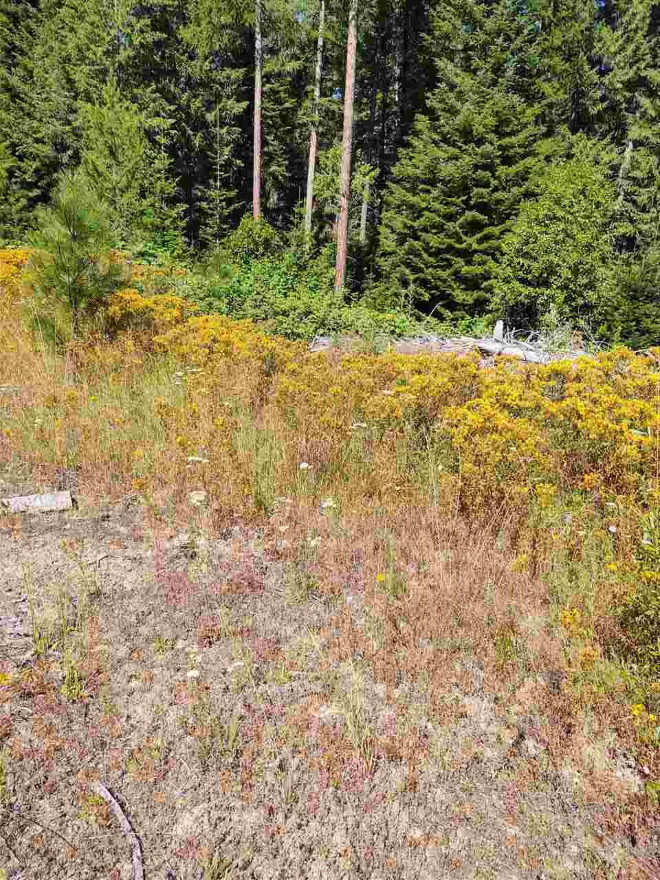 Xxx Xxx Tbd Road Springdale, WA 99173 - Photo 26 of 37