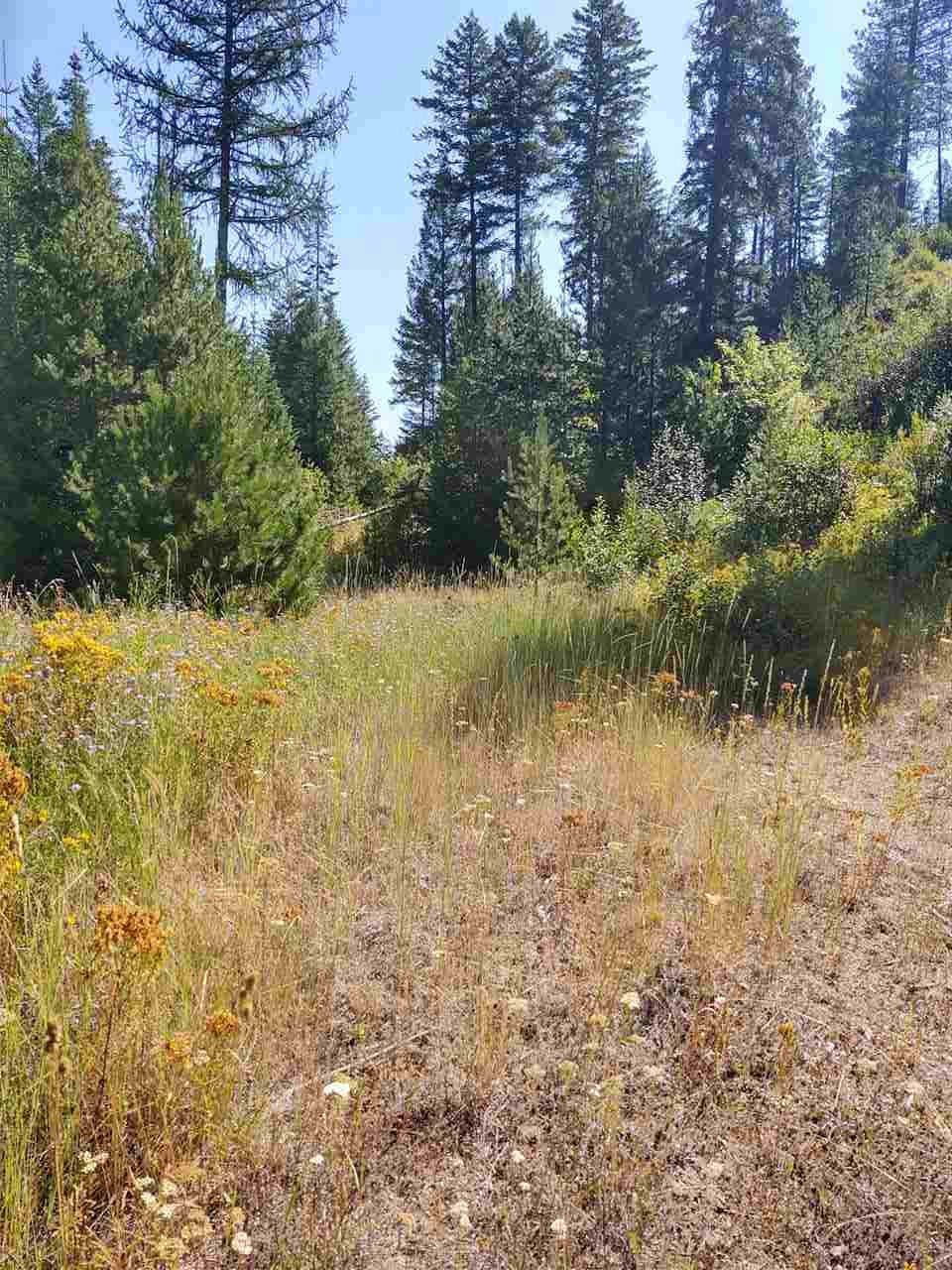Xxx Xxx Tbd Road Springdale, WA 99173 - Photo 27 of 37